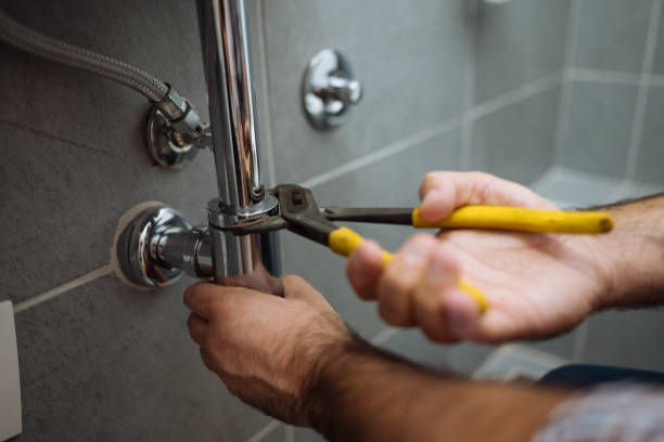 Best Local Plumber Services  in Temple Terrace, FL